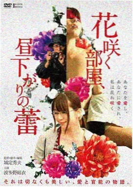 大夜电影完整版：迷雾森林
